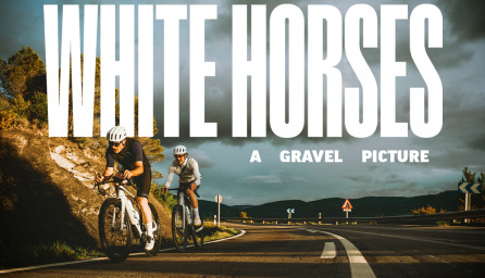 White Horses a Gravel Picture