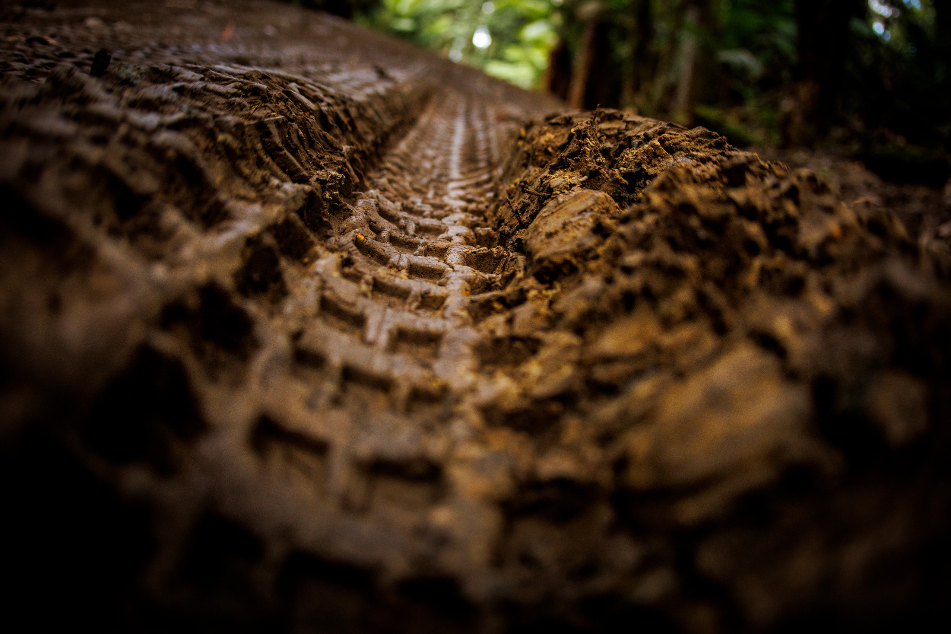RACING NEVER ENDS