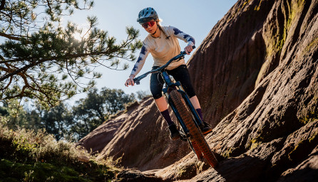 NEUE MONDRAKER SCREE