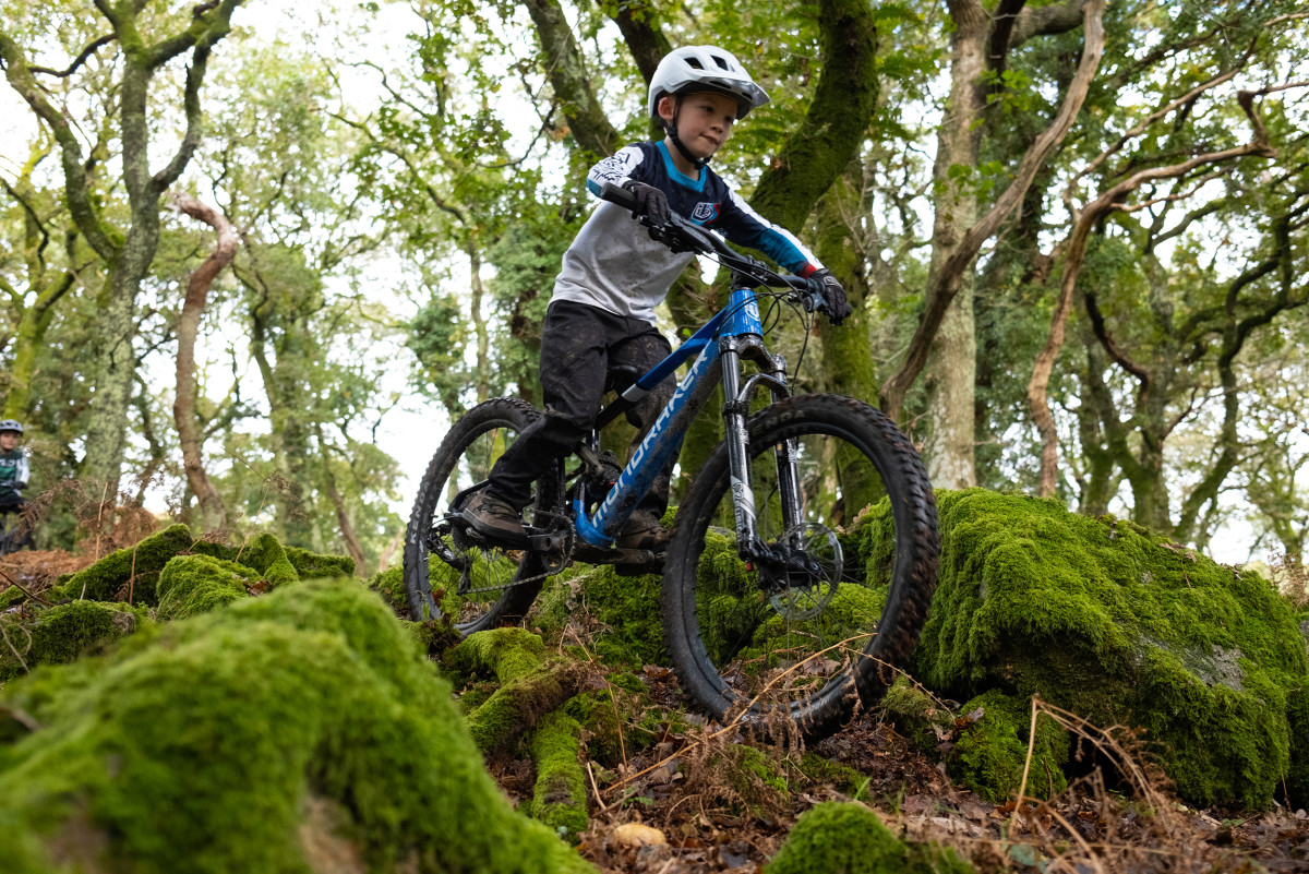 MAHLE E-BIKEMOTION X35