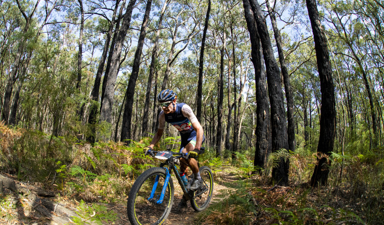 GREAT RESULTS FOR THE MONDRAKER RIDERS