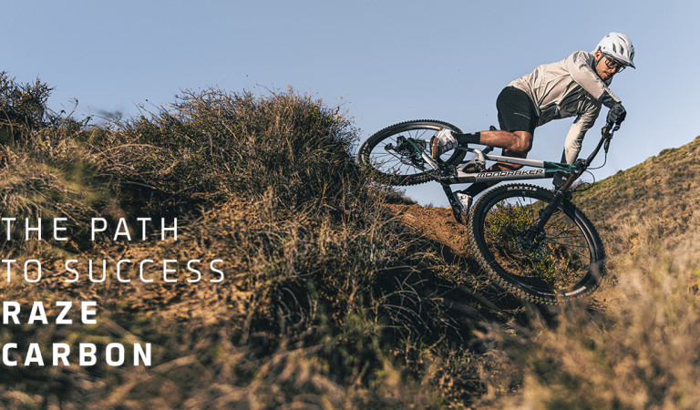 THE PATH TO SUCCESS