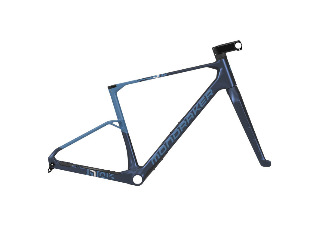 ARID CARBON RR SL FRAMESET
